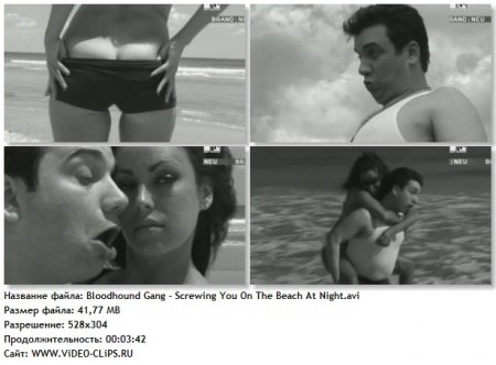 Bloodhound Gang - Screwing You On The Beach At Night